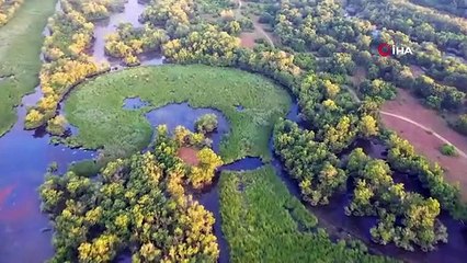 Karacabey'deki longoz ormanları ziyaretçilerini bekliyor
