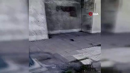 Kuşların fareyle oyunu tebessüm ettirdi