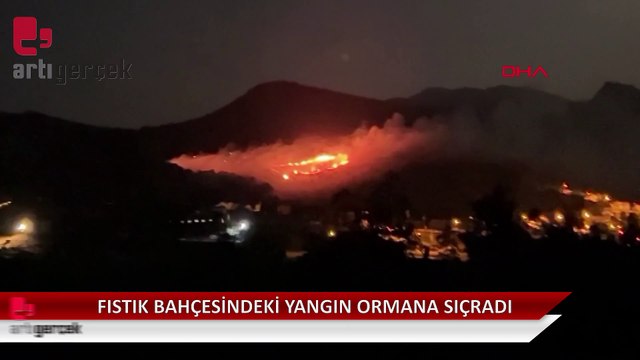 Fıstık bahçesinde çıkan yangın, ormana sıçradı
