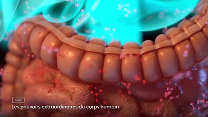 Les pouvoirs extraordinaires du corps humain - 6 juillet