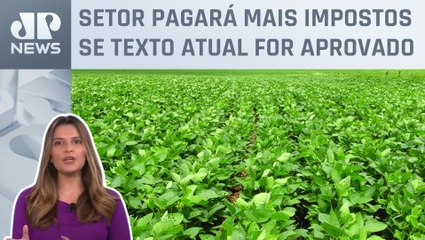 Kellen Severo: Proposta da reforma tributária prejudica o agronegócio