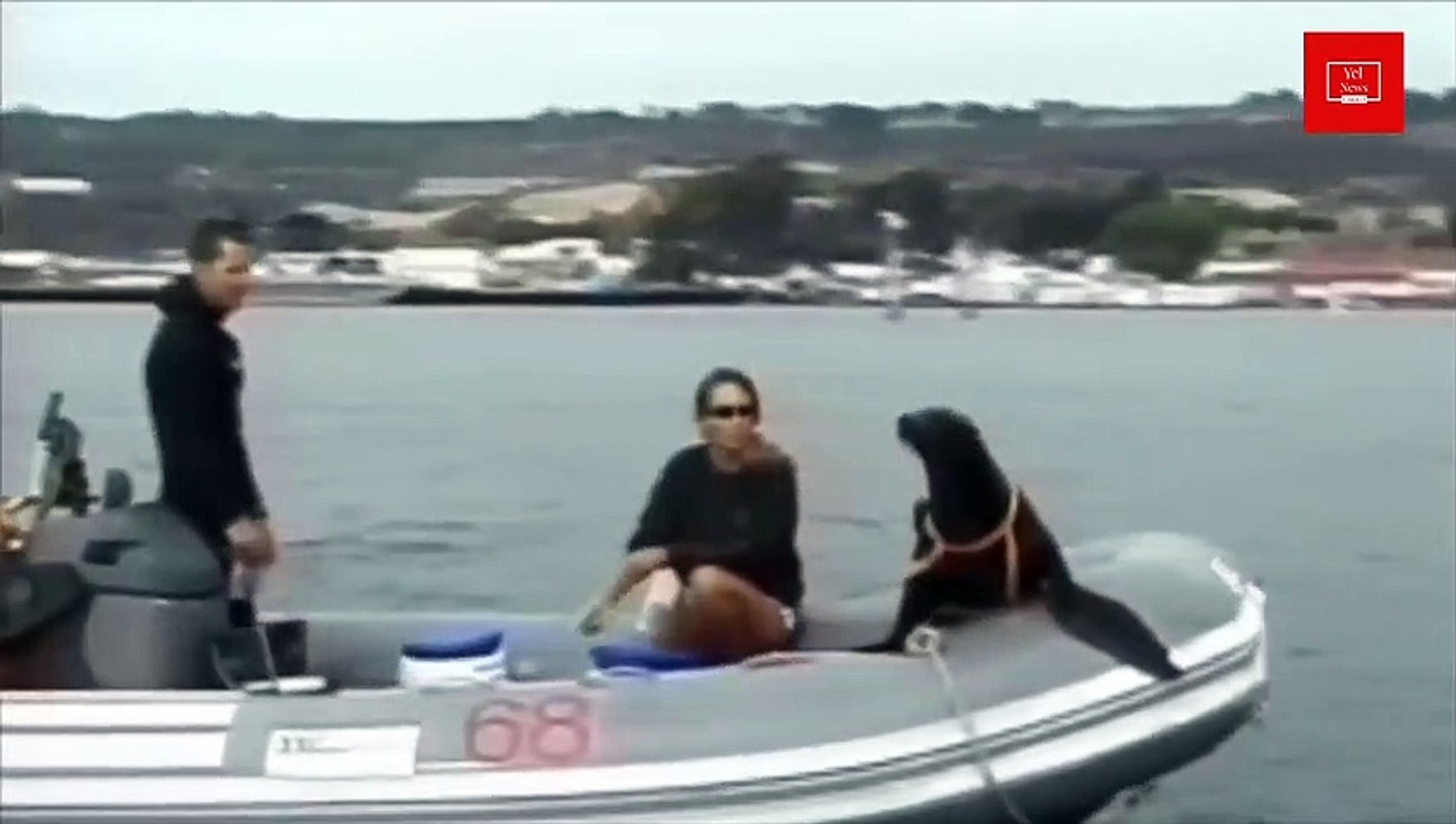 Ukraine war news update today | Ukraine war | Putin