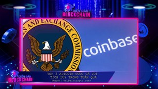 Diễn Đàn Blockchain #77 Top 3 altcoin được cá voi “điên cuồng” tích lũy trong tuần qua