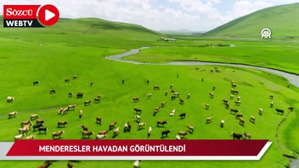 Menderesler havadan görüntülendi