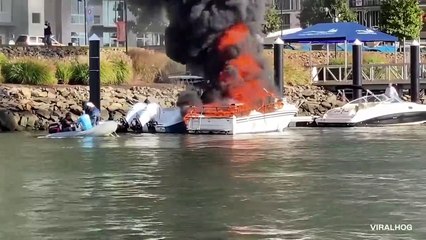 Mistakes You Wouldn't Believe if Not Filmed