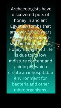 What happens when 3,000 years old honey was discovered from ancient tombs#dailymotion #shortsvideo#viral
