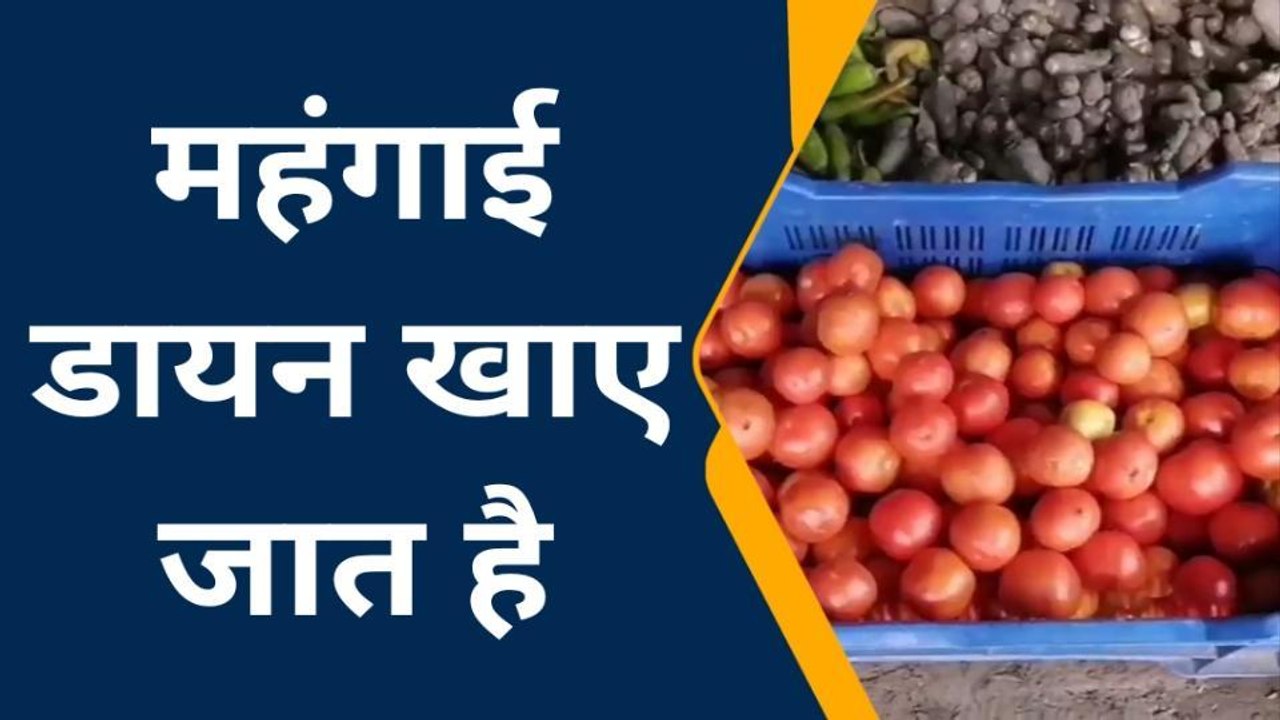 टमाटर पहुंचा डेढ़ सौ तो चार सौ रूपए किलो मिल रही मिर्चा, सुनिए अब टूट रही कमर