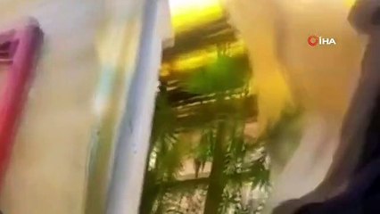 Manisa'da yasadışı kenevir ekenler jandarmaya yakalandı