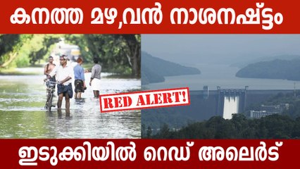 Idukki Red Alert: കനത്ത മഴ,വൻ നാശനഷ്ട്ടം  ഇടുക്കിയിൽ റെഡ് അലെർട്