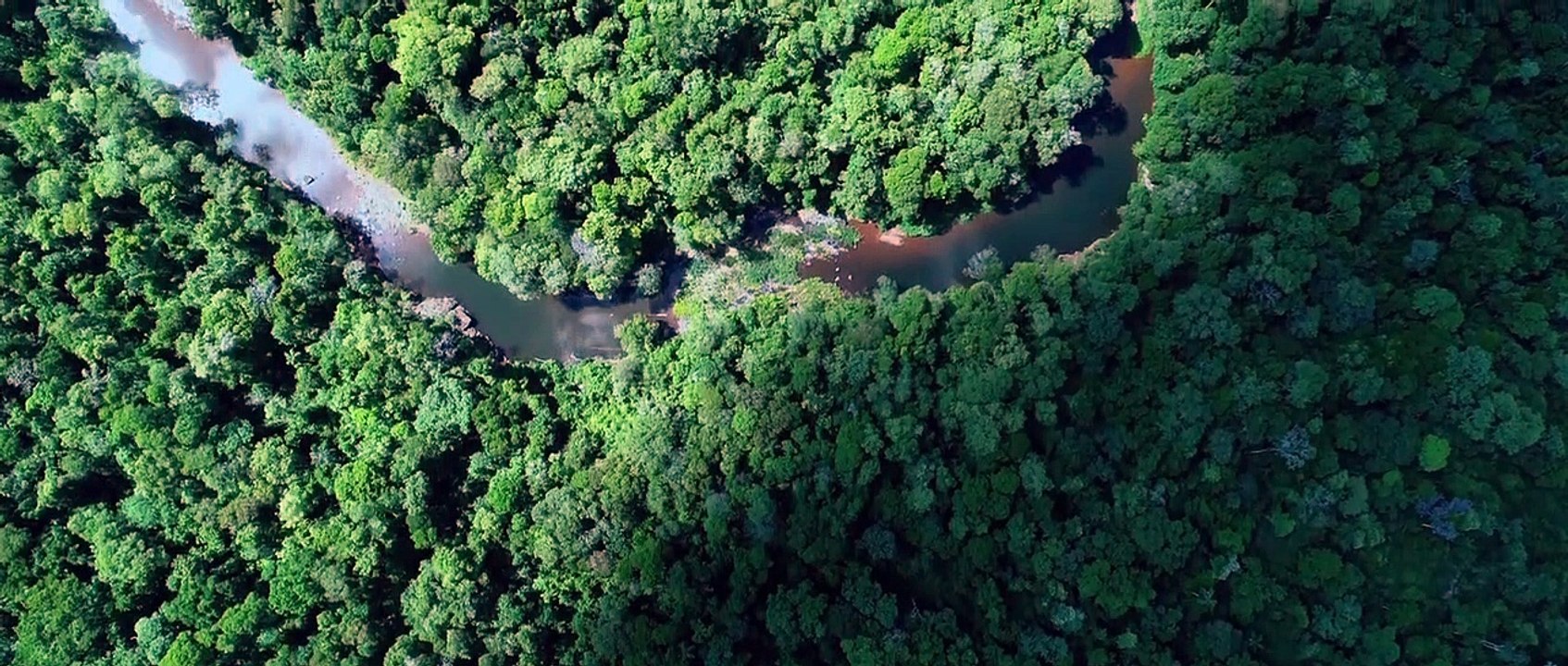 Rise Of The Demons Trailer DF