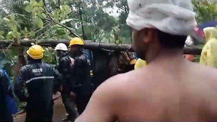സ്കൂൾ വിദ്യാർത്ഥികളുമായി പോയ ഓട്ടോറിക്ഷയ്ക്ക് മുകളിൽ മരം വീണു