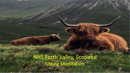 Sitting meditation, NHS Forth Valley, Scotland.