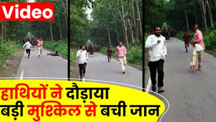 UP News: हाथी को देखकर ले रहे थे सेल्फी, झुंड ने दौड़ाया तो गिरते हुए भागे, बमुश्किल बची जान
