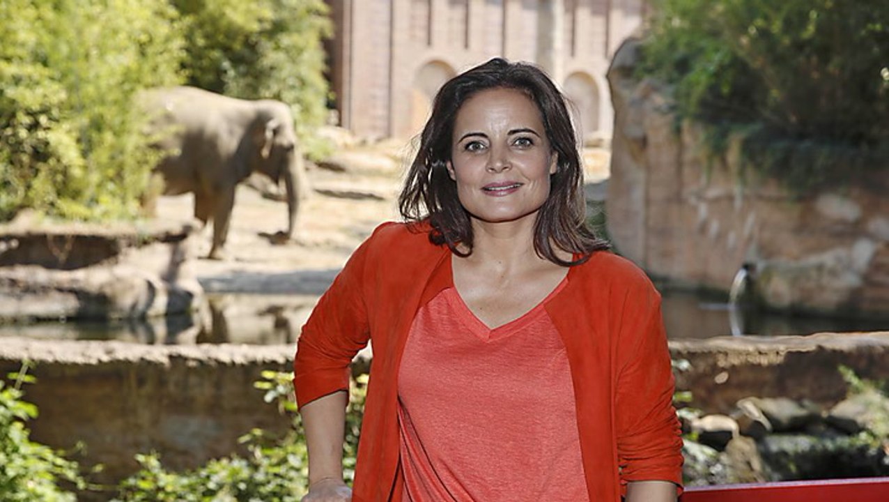 „Tierärztin Dr. Mertens“: Wird die Serie wieder abgesetzt?