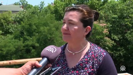 İstanbul'da sivrisinek yaraları nedeniyle hastanelere başvurular artıyor