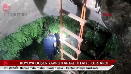 Batman'da kuyuya düşen yavru kartalı itfaiye kurtardı