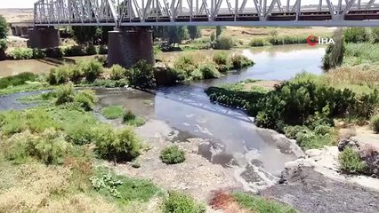 Basra Körfezi'ne kadar giden Dicle Nehri'nde korkutan görüntü