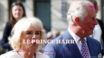 Le prince Harry : comment il a profondément blessé sa belle-mère Camilla