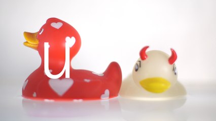 2016-12-22 (Roni) Selected Gifts Edition