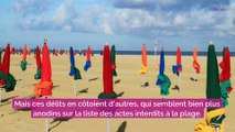 Attention, ces actes qui paraissent anodins sont pourtant interdits à la plage