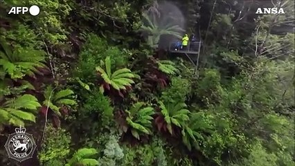 Australia, escursionista belga dispersa in una foresta della Tasmania