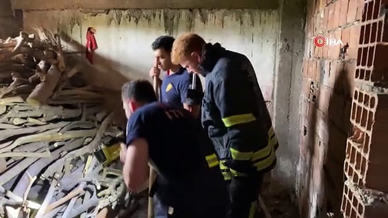 Yılan ihbarı itfaiye ekiplerini harekete geçirdi