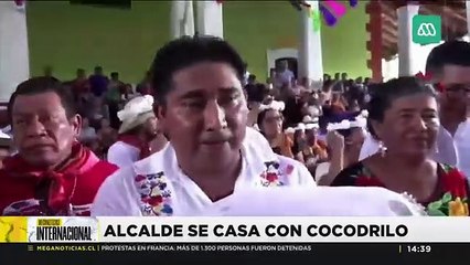 Alcalde se casa con un cocodrilo.