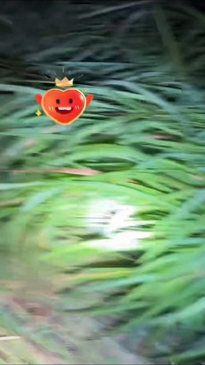 Paranormal activity ghost on camera part 156