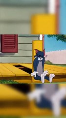 Little Dog (Tom and Jerry)
