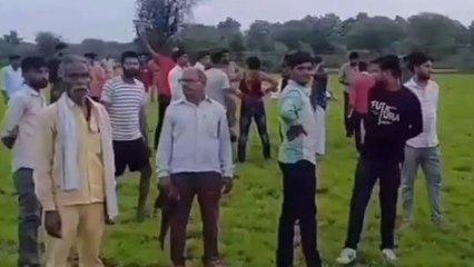 हमीरपुर: हाई टेंशन लाइन की चपेट में आने से 9 मवेशियों की हुई मौत