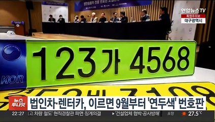 이르면 9월부터 법인차에 '연두색' 번호판…렌터카도 포함