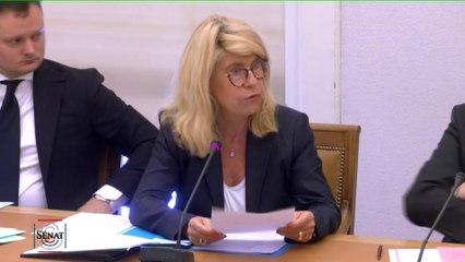 Dominique Faure : "Nous trouvons de nouveaux moyens d'assurer la protection physique des élus"