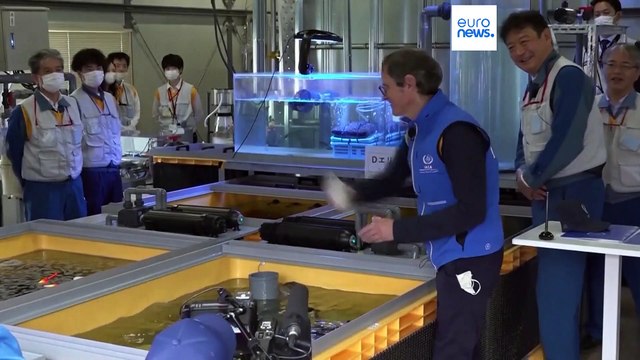 Agência de Energia Atómica tenta acalmar preocupação com descarga de água tratada de Fukushima