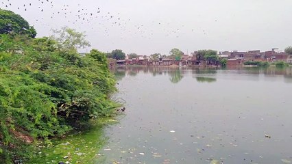 तो यूं बदलेगी पौराणिक तालाबों की आबोहवा