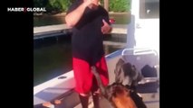 Yemeğini almaya çalışırken, sahibini denize düşüren köpek kahkahaya boğdu