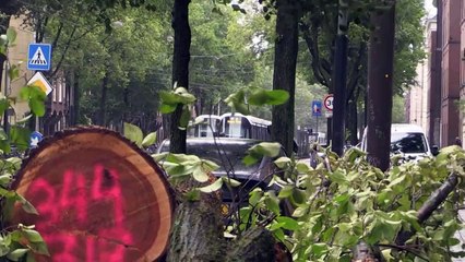 Holanda é atingida por tempestade de verão mais forte já registrada