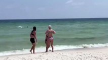 Tubarão nada próximo a banhistas e causa correria em praia; veja vídeo