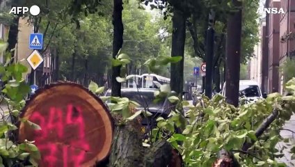 Maltempo, la tempesta Poly si abbatte sull'Olanda: forti disagi ad Amsterdam