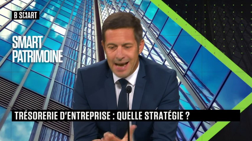 Trésorerie d'entreprise : quelle stratégie ?