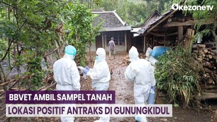 Puluhan Warga Terjangkit Antraks, BBVET Ambil Sampel Tanah Lokasi di Gunungkidul