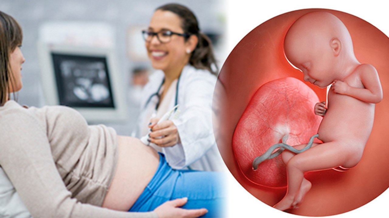 Pregnancy में Ultrasound कराना Safe है या नहीं Is Ultrasound harmful