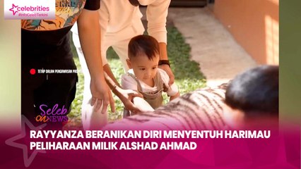 Rayyanza Tunjukkan Keberanian, Sentuh Harimau Peliharaan Alshad Ahmad 🐯