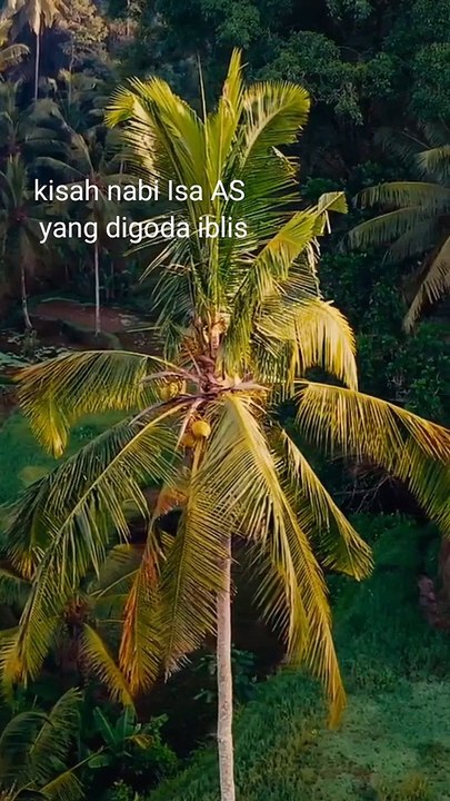 kisah nabi isa yang digoda iblis dan memohon bantuan kepada allah #kisahnabiisa #nabiisa #kisahnabiisaas #kisahnabi