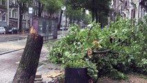 هولندا تشهد أكبر عاصفة صيفية في تاريخها