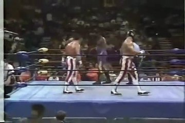 Harlem Heat vs Stars & Stripes (WCW Tag Title Match 1995.05.08)
