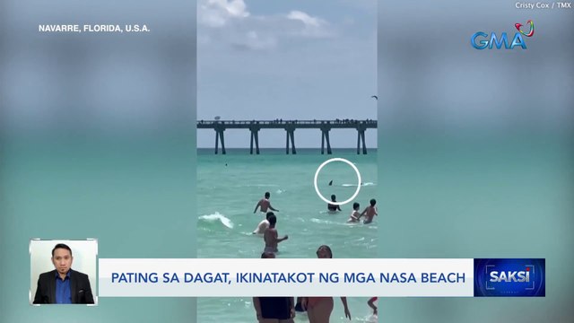 Pating sa dagat, ikinatakot ng mga nasa beach | Saksi