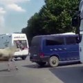 Eskişehir'de isyan ettiren görüntü! Atı aracın arkasına bağlayıp koşturdu