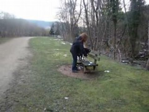 parcours impro agility cheyenne 2