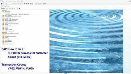 SD CHECK IN process for customer pickup (DELIVERY)