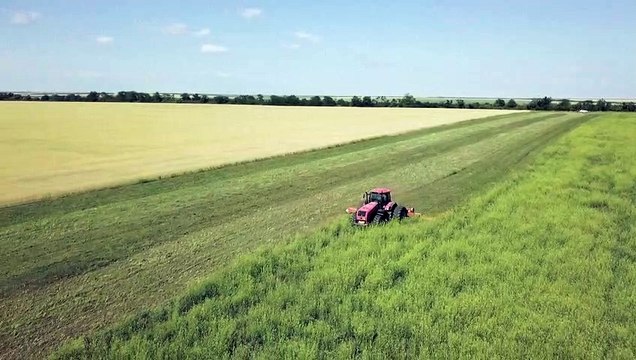 Renovação de acordo sobre grãos ucranianos preocupa a ONU